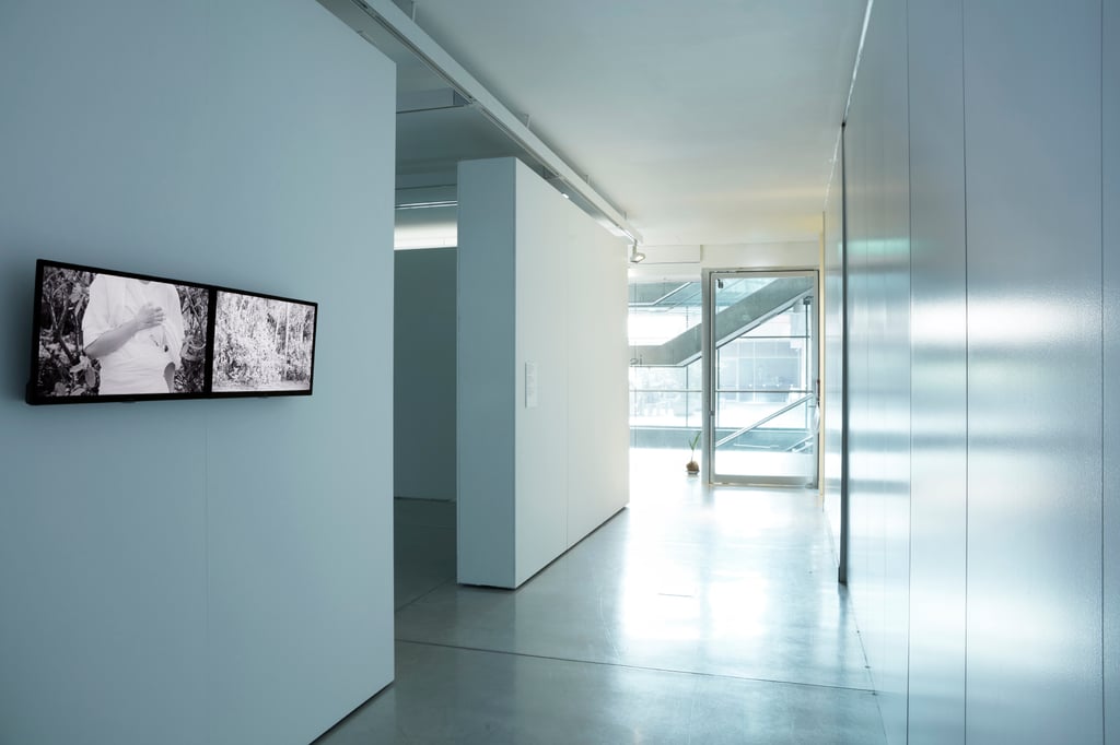 Installation in gallery