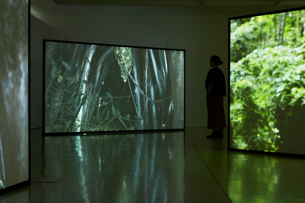 Installation in gallery