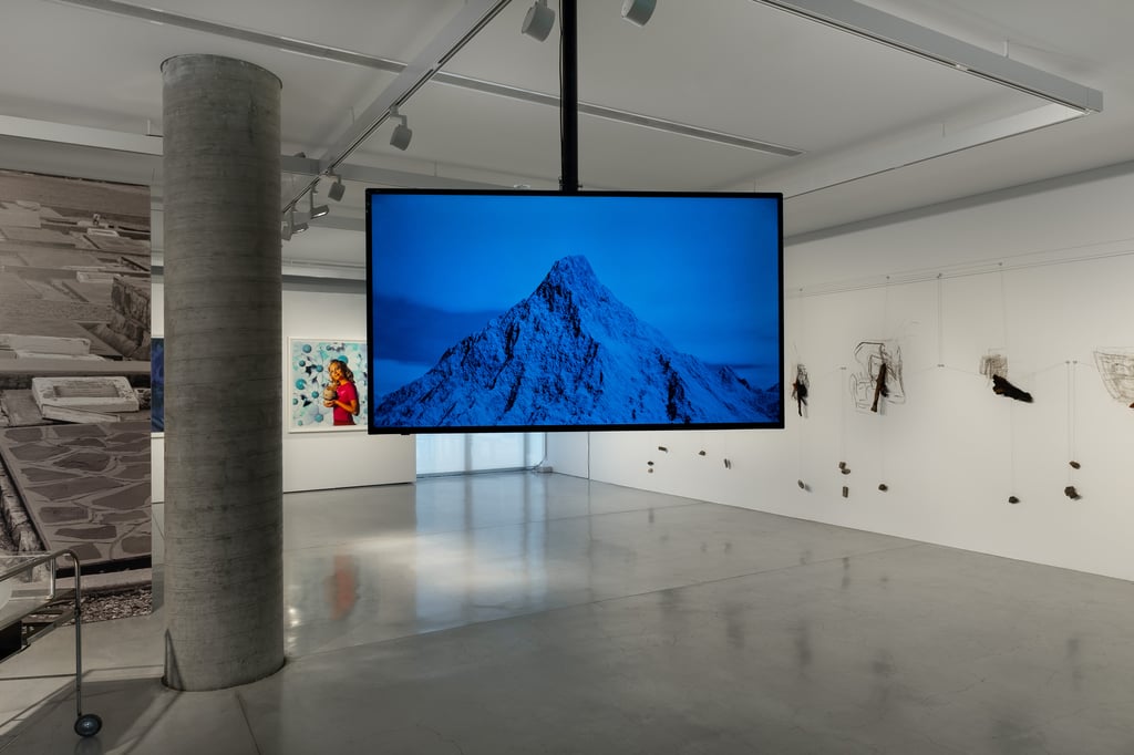 Installation in gallery