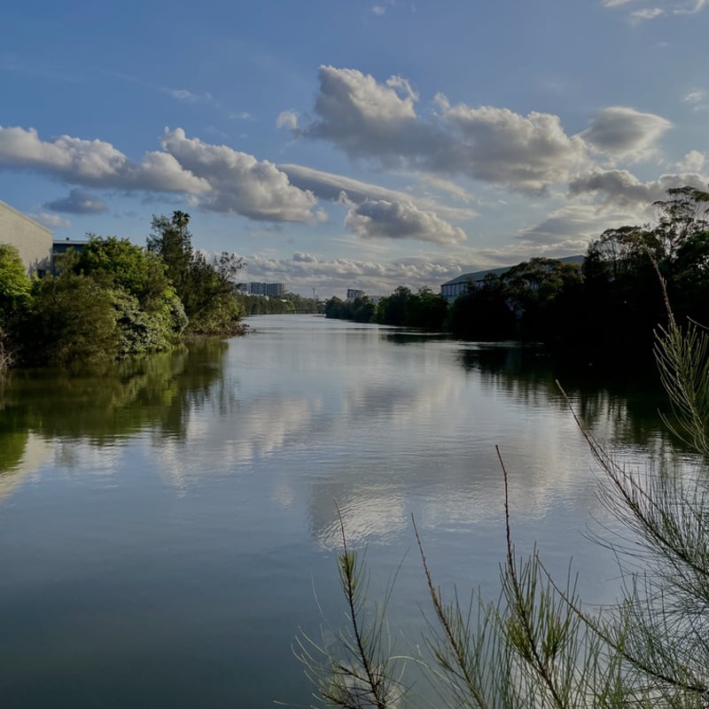 A serene river scene with trees and clouds reflected in the calm water, showcasing nature's beauty.