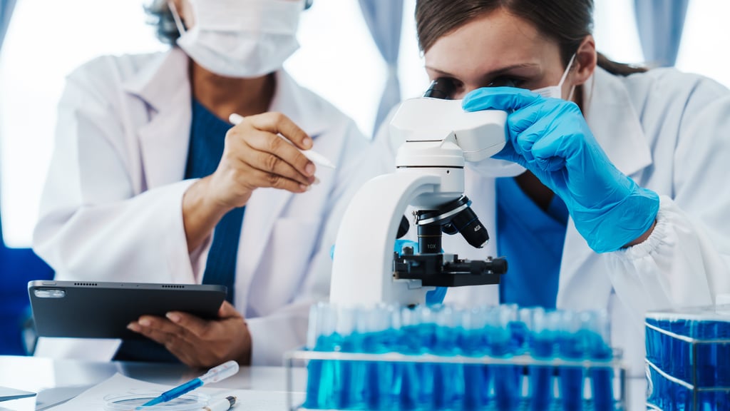 Health care researchers working in life science laboratory, teaching in labs. Picture: Phushutter/Adobe Stock
