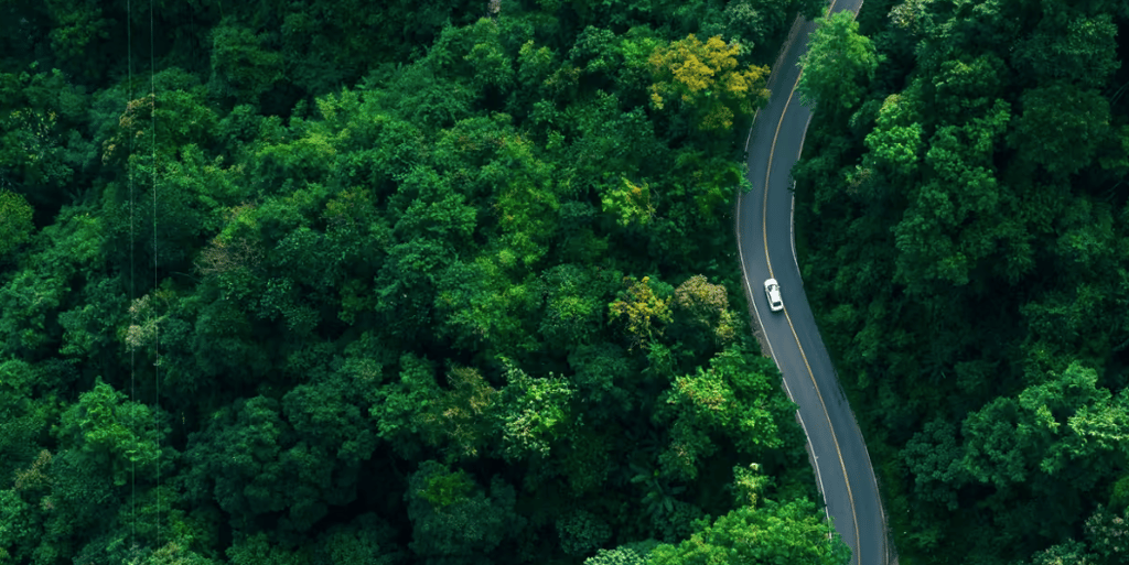 Aerial view of a winding road through dense green forest, with a car travelling along it.