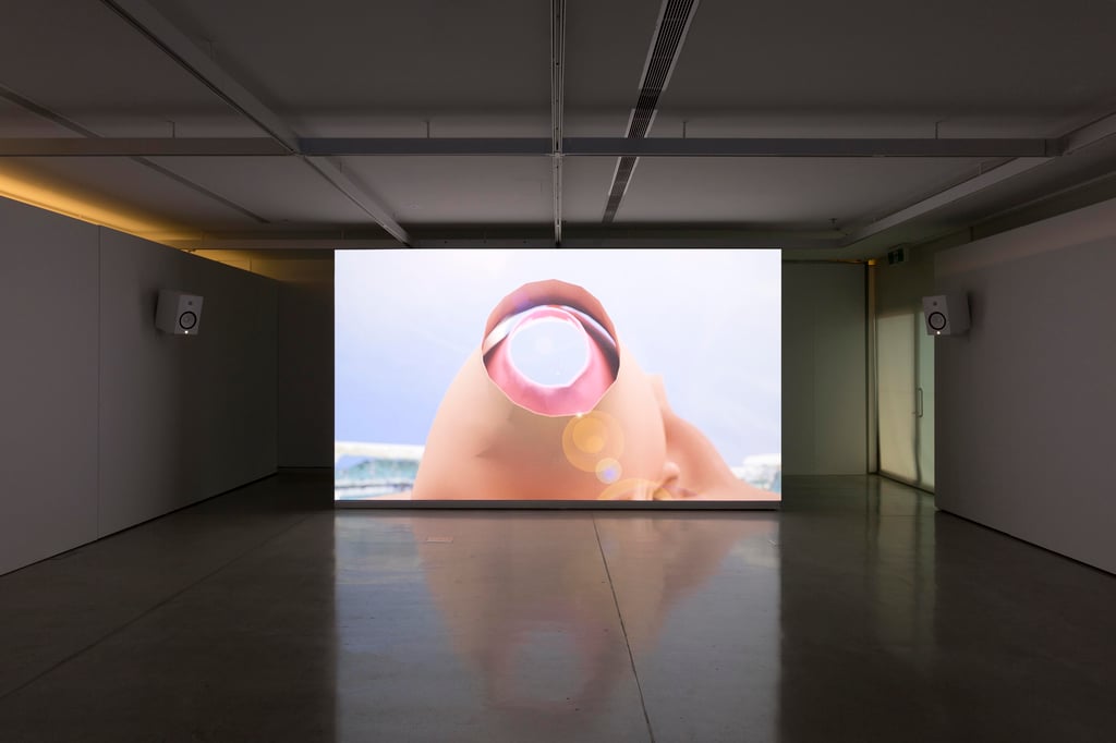 Baden Pailthorpe, Clanger, installation view, UTS Gallery 2018