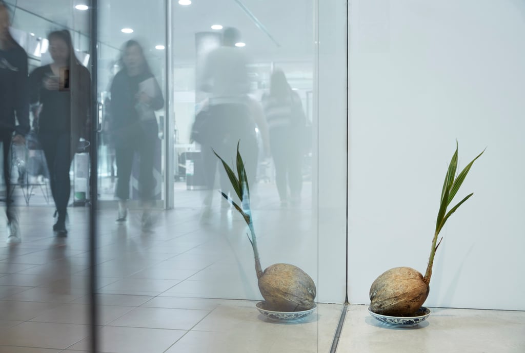 Installation in gallery
