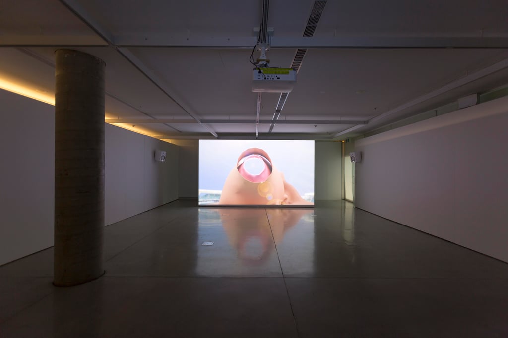 Baden Pailthorpe, Clanger, installation view, UTS Gallery 2018