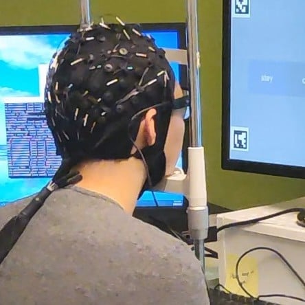 Brain wave social