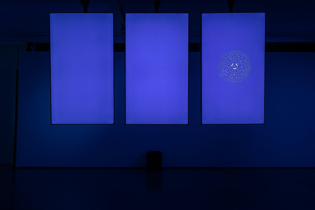 Maggot exhibition