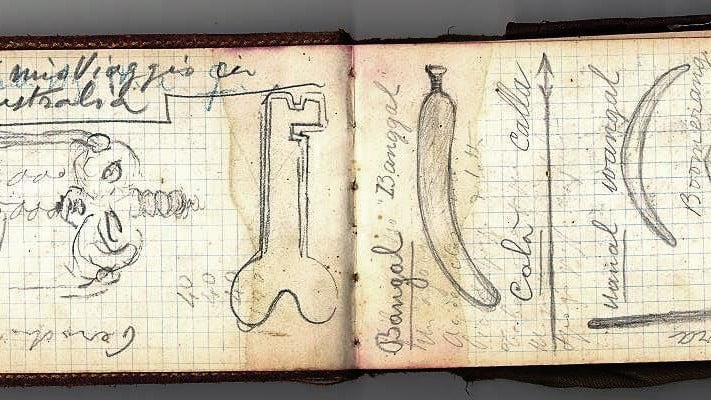 Giovanni Podenzana's diary.