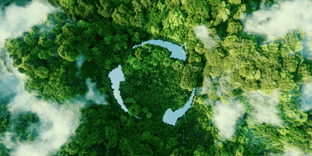 Aerial view of dense green forest shaped around a circular recycling symbol.