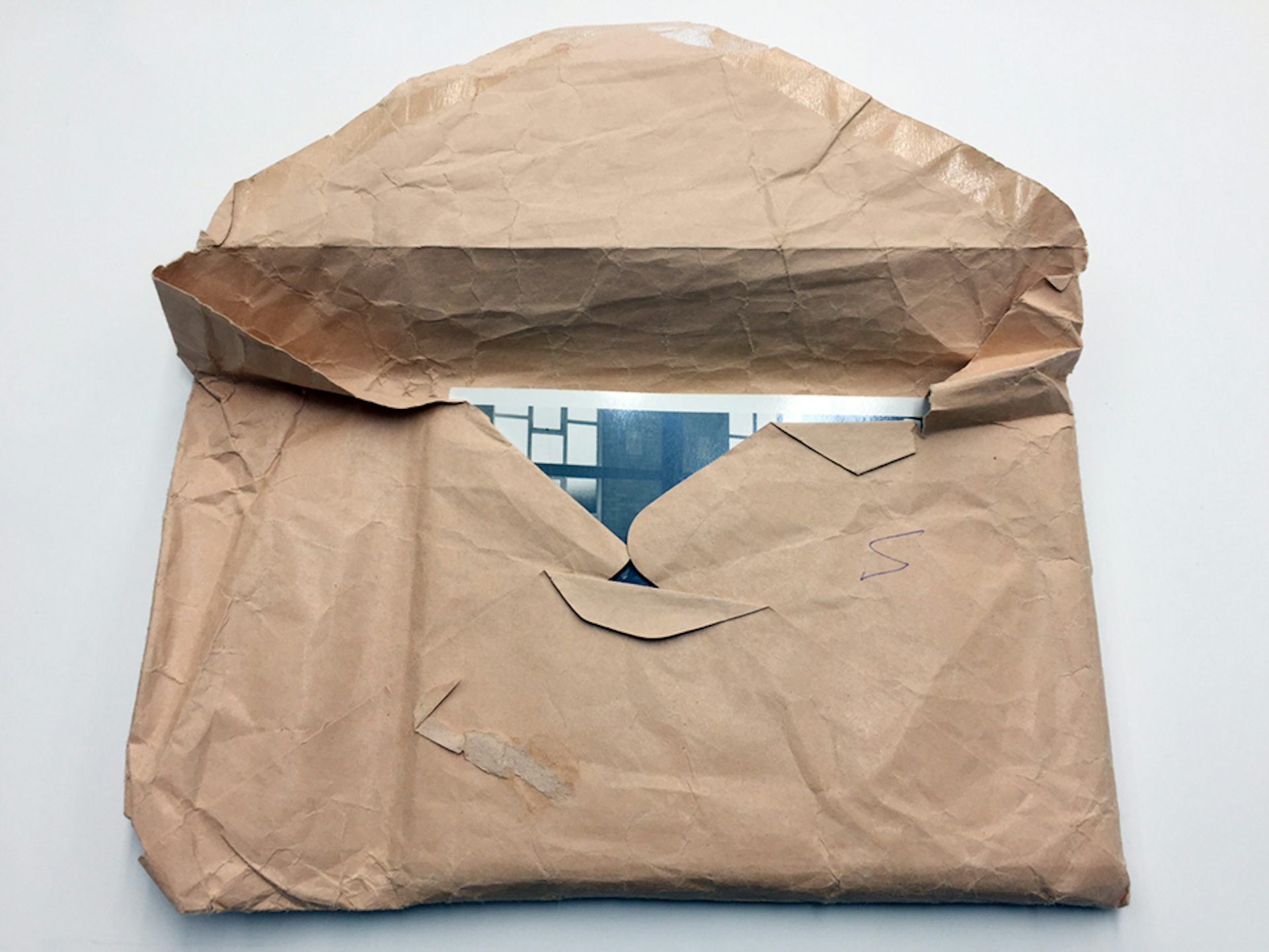 file-20190313-86682-vj9ndd