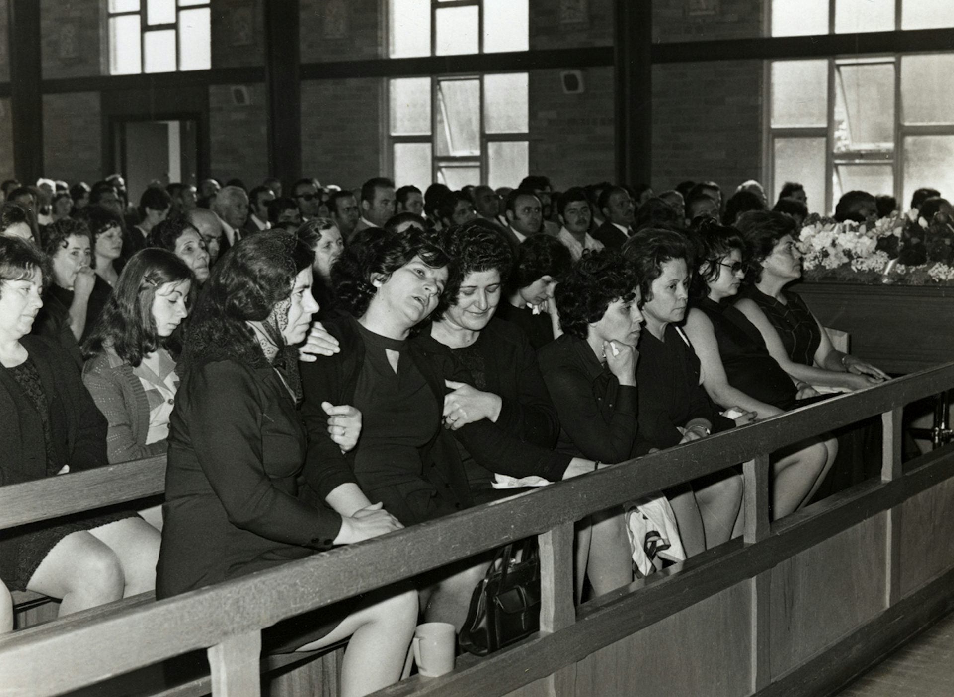 file-20190313-123528-1pwrrb