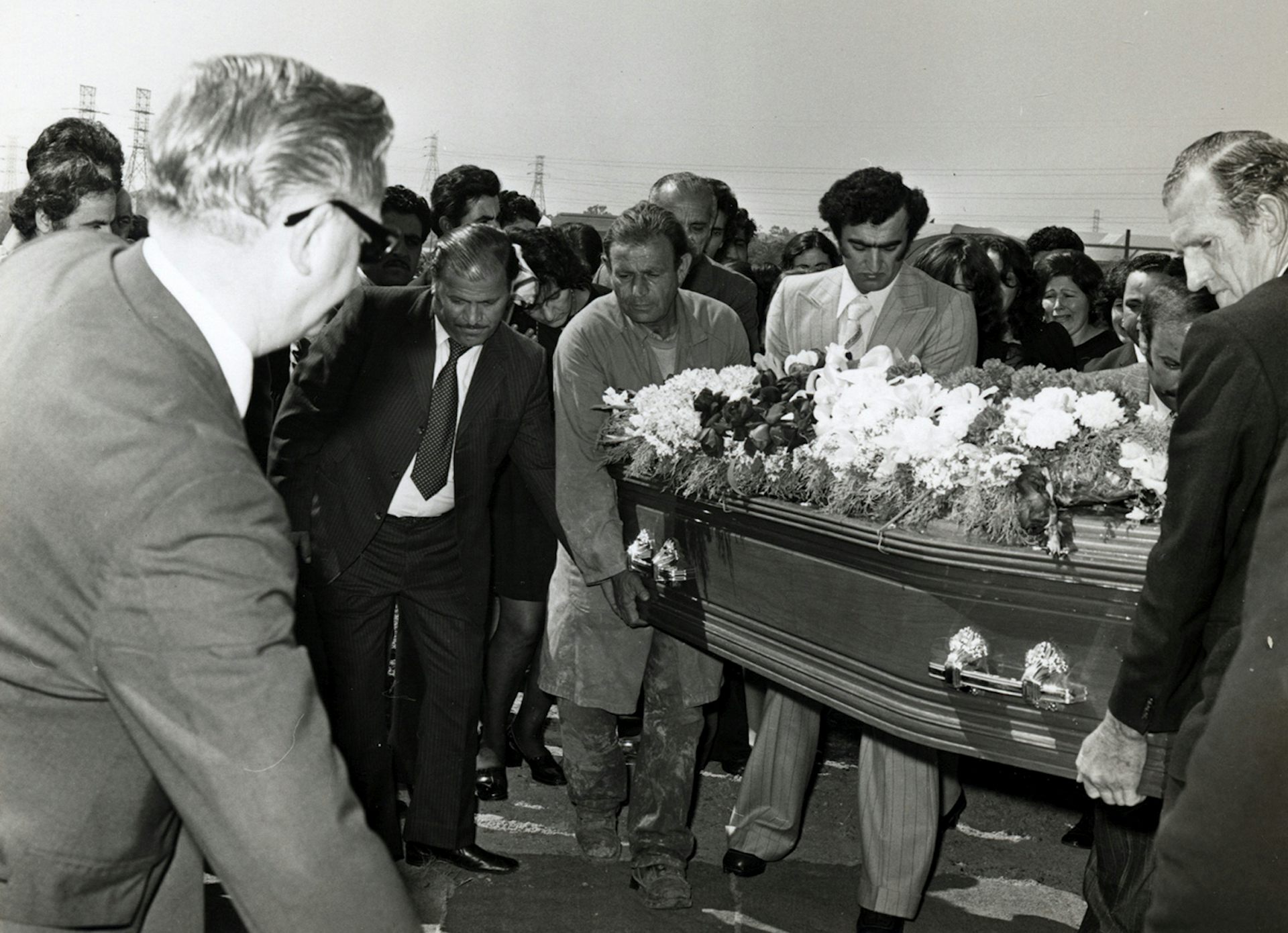 file-20190313-123541-aobh82