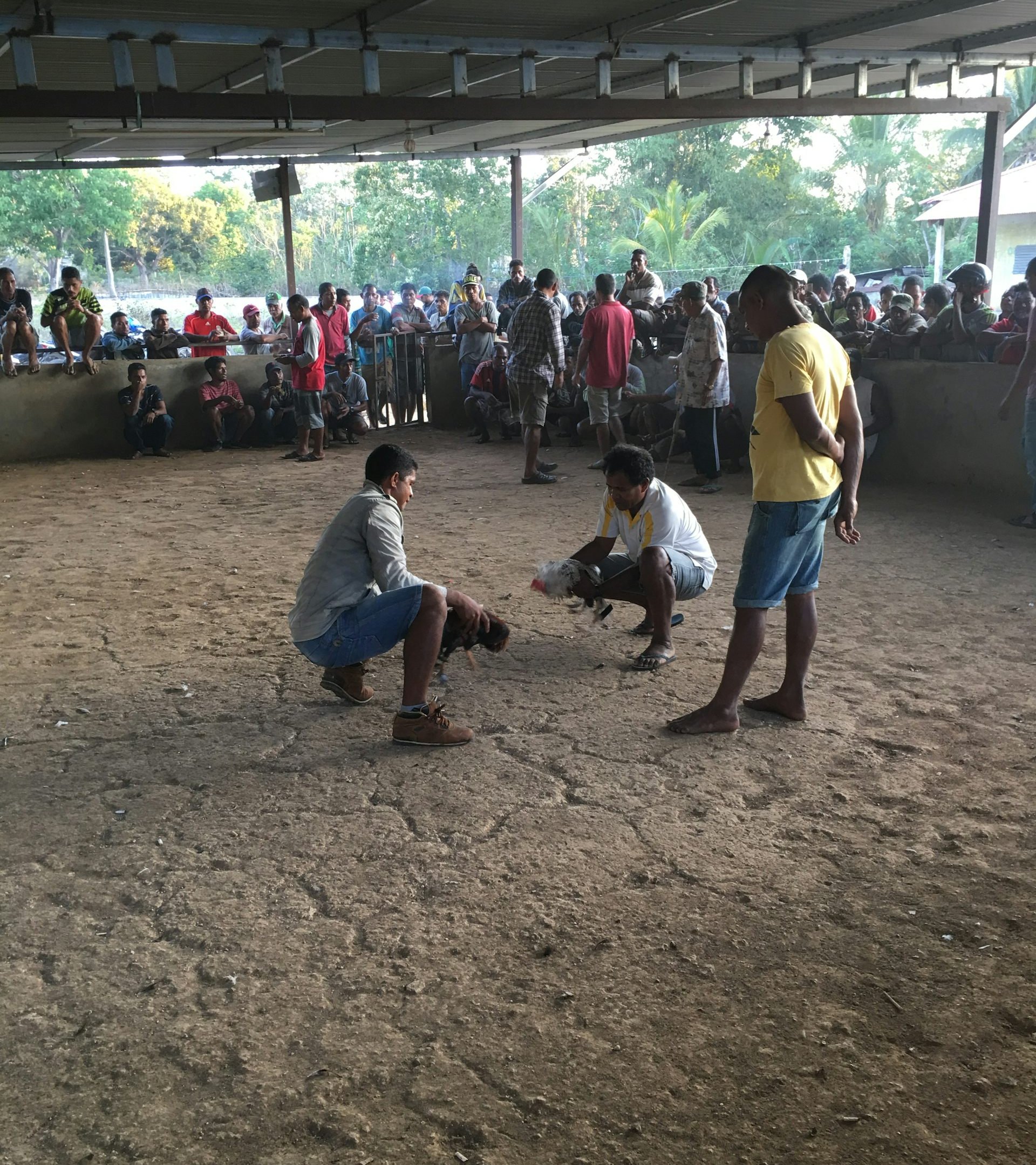 file-20200224-24701-1ep1mza