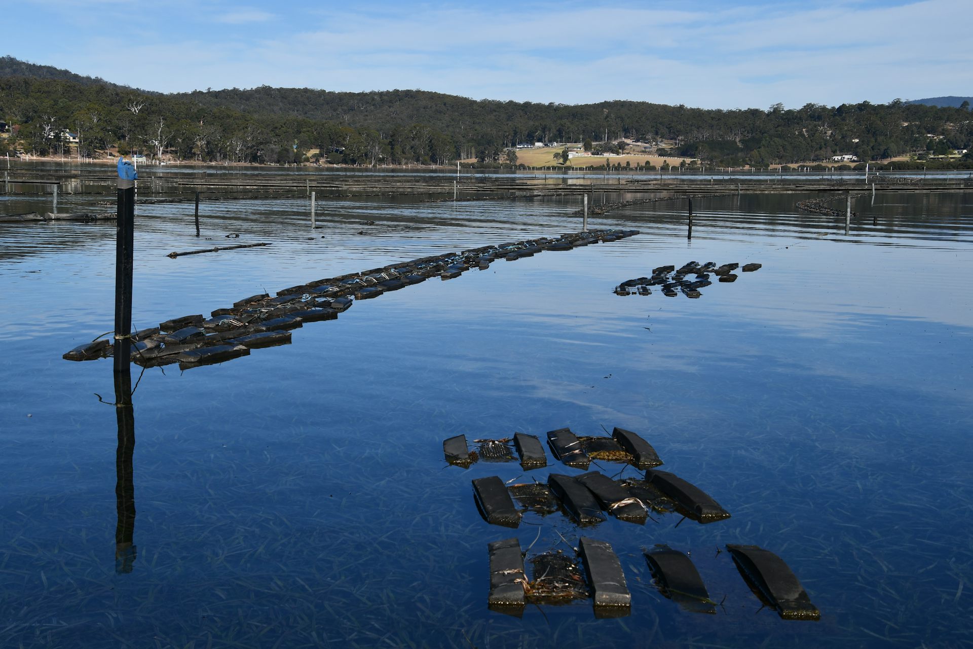 file-20200316-18023-15fb953