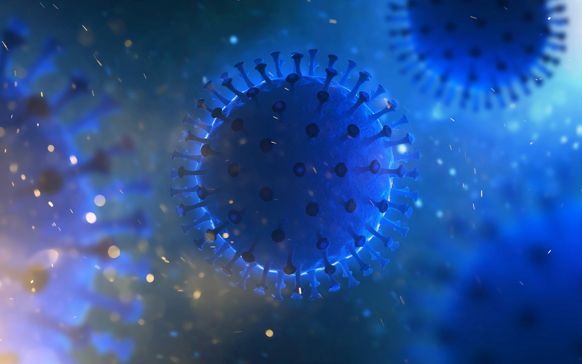 file-20200320-22622-1l1hra2