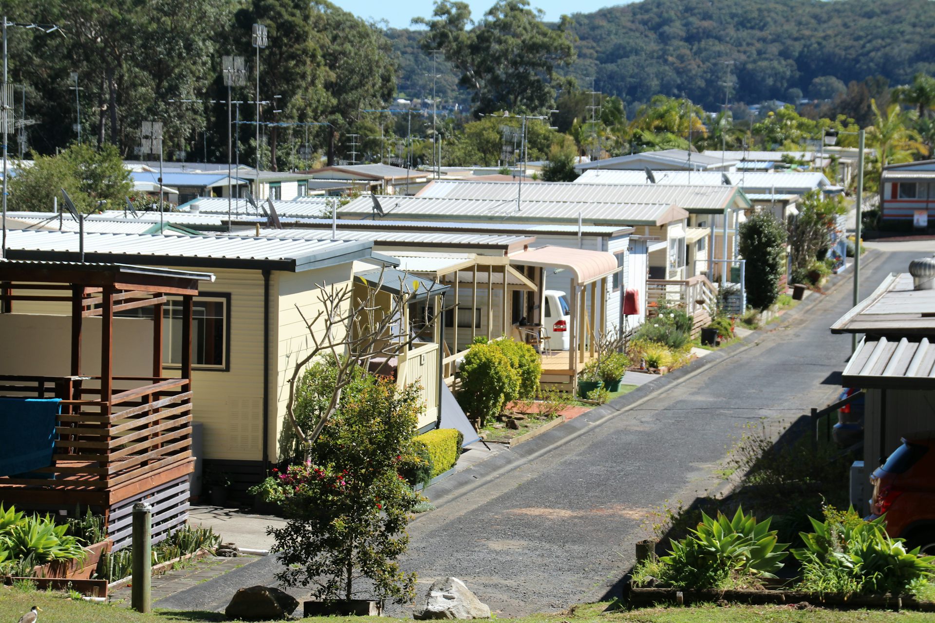 file-20200914-22-nwzr6n