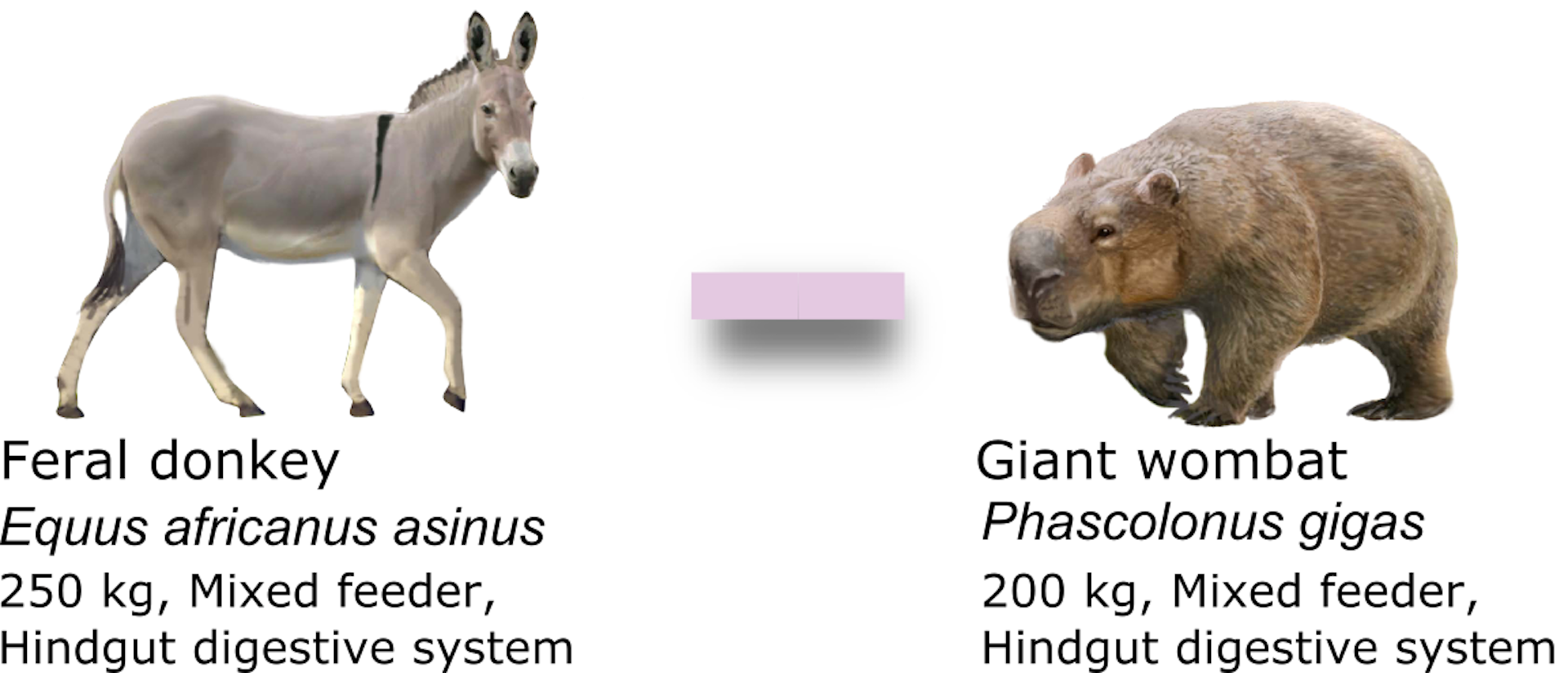 file-20210428-13-1whsqw6