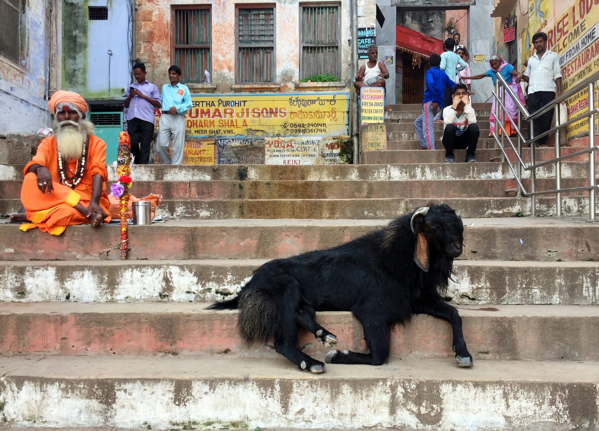 file-20210718-14242-1jpe1yn