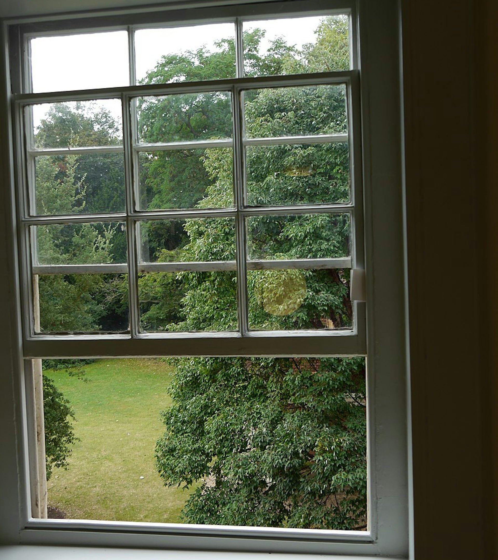 file-20211108-25-bcxm7i