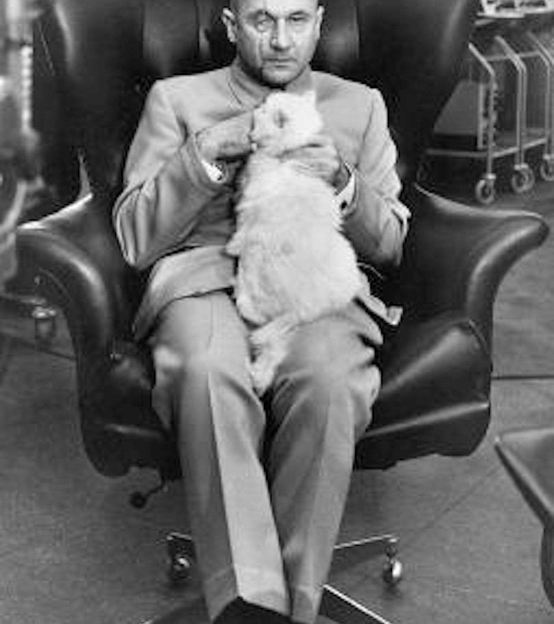Bond villain Ernst Stavro Blofeld