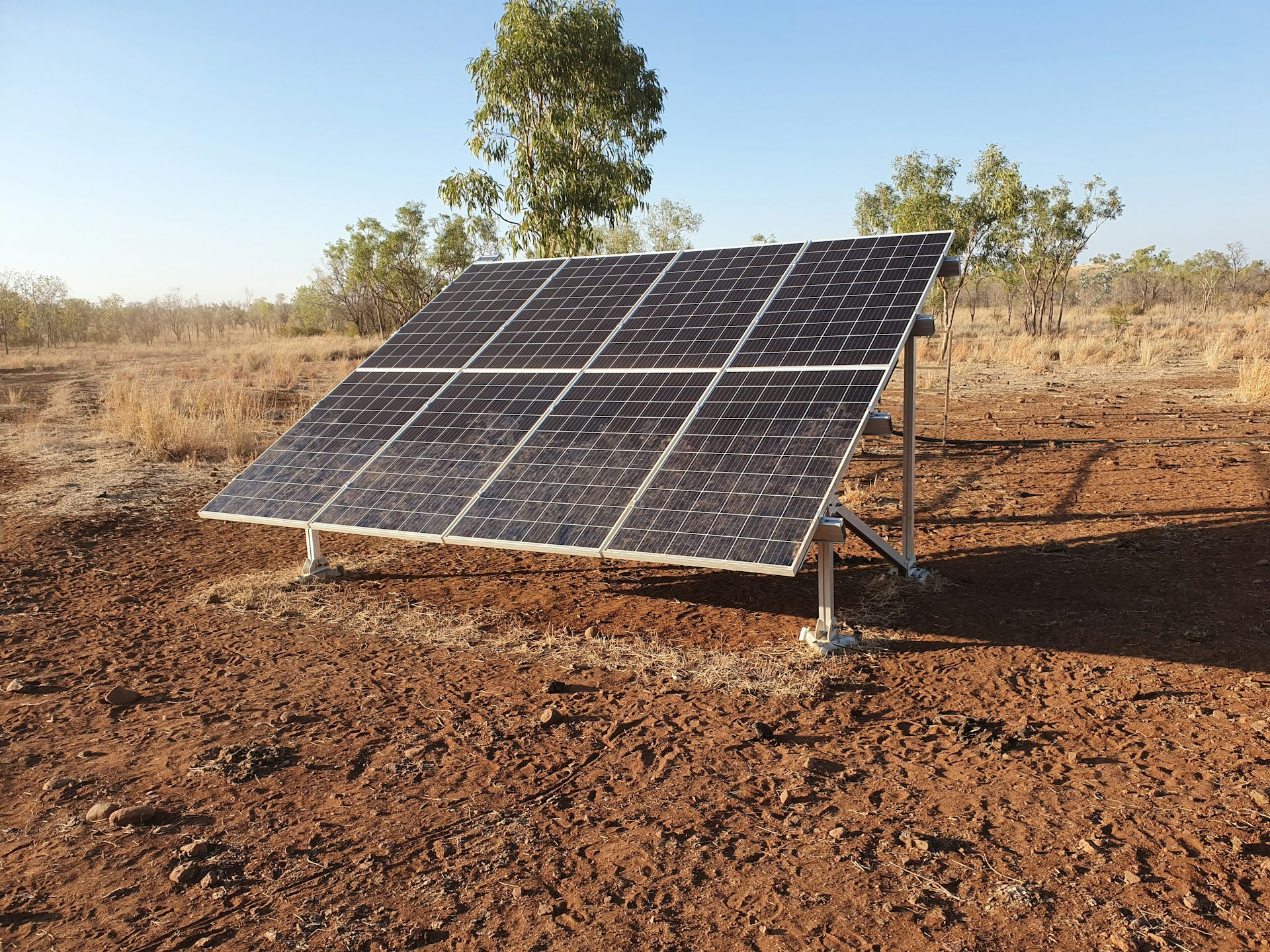 file-20220718-26-u2t6el