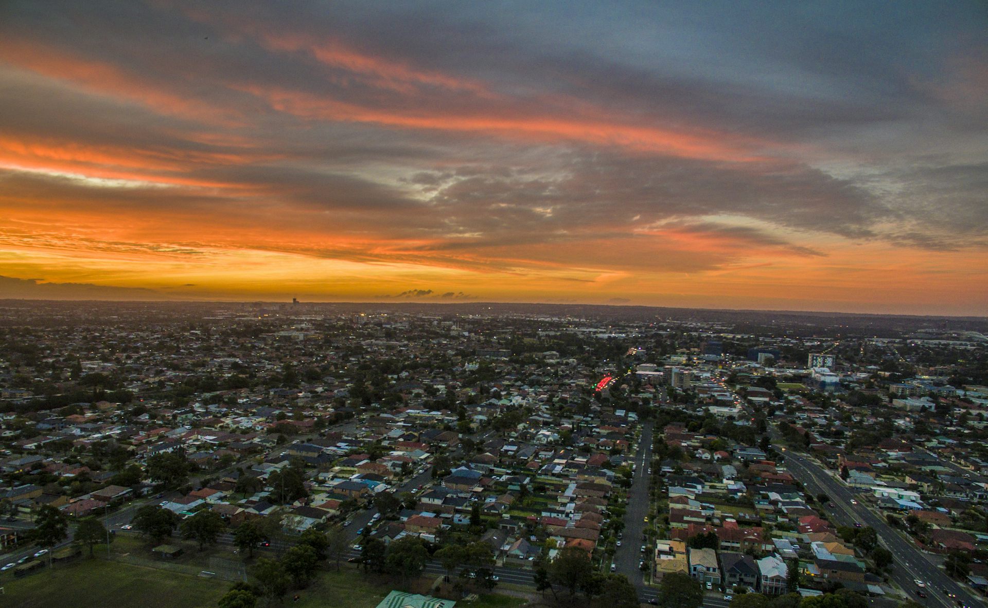 file-20220801-31624-4l8g6g