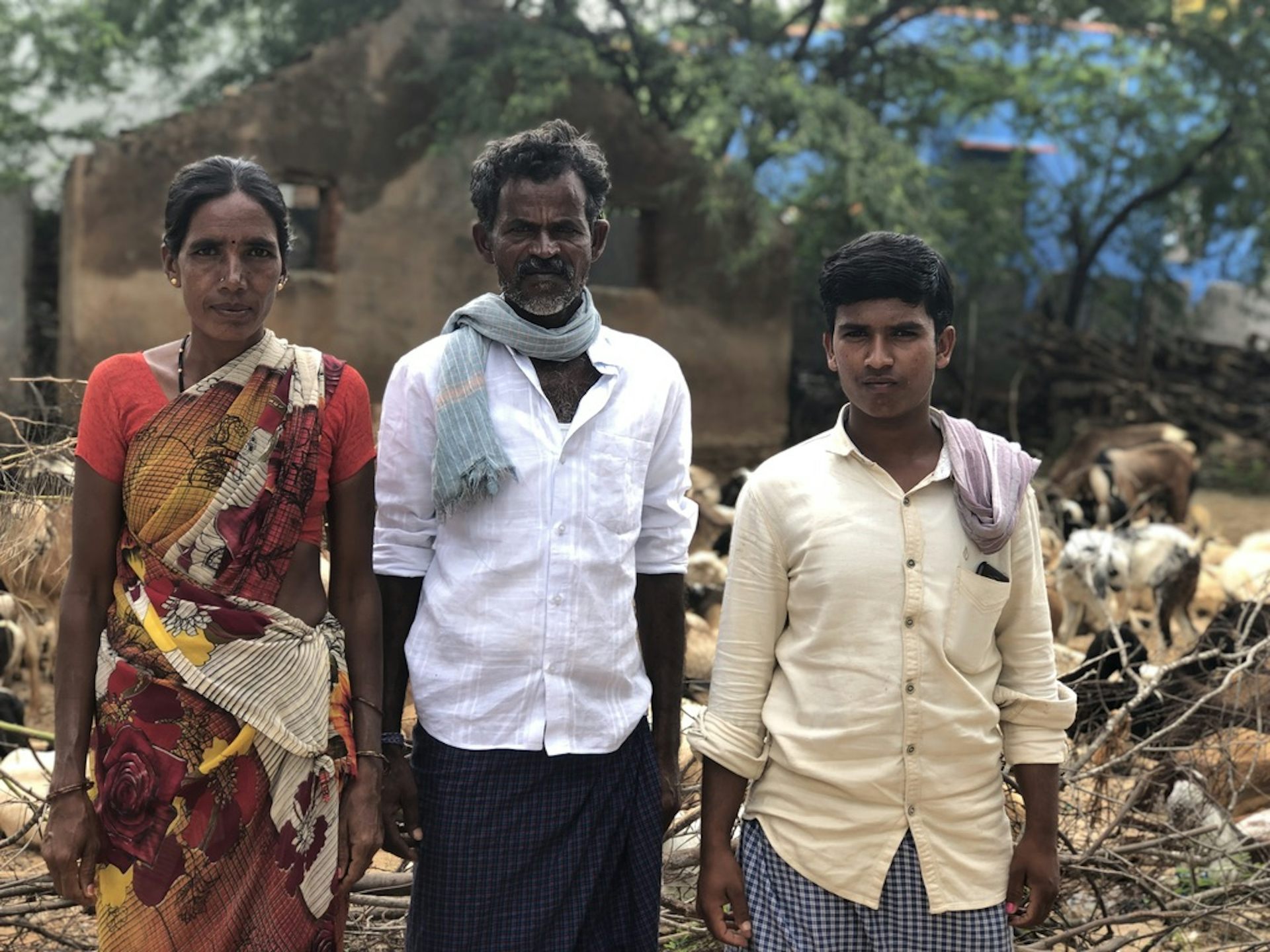 file-20221010-44863-d0gvr2