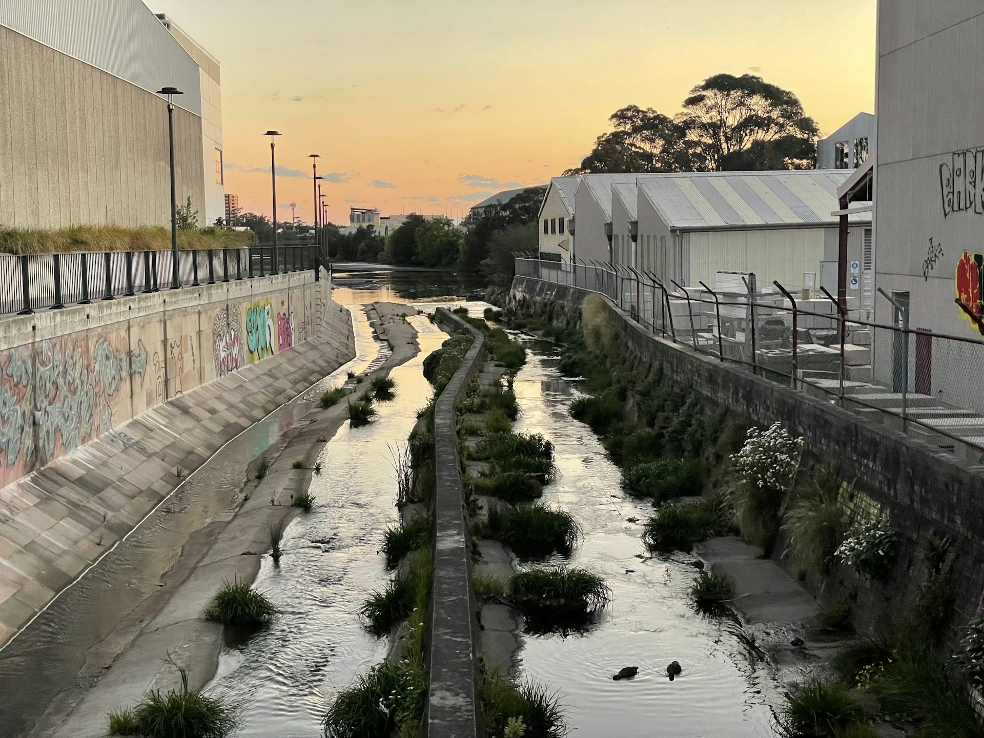 file-20221111-21-8gu7av