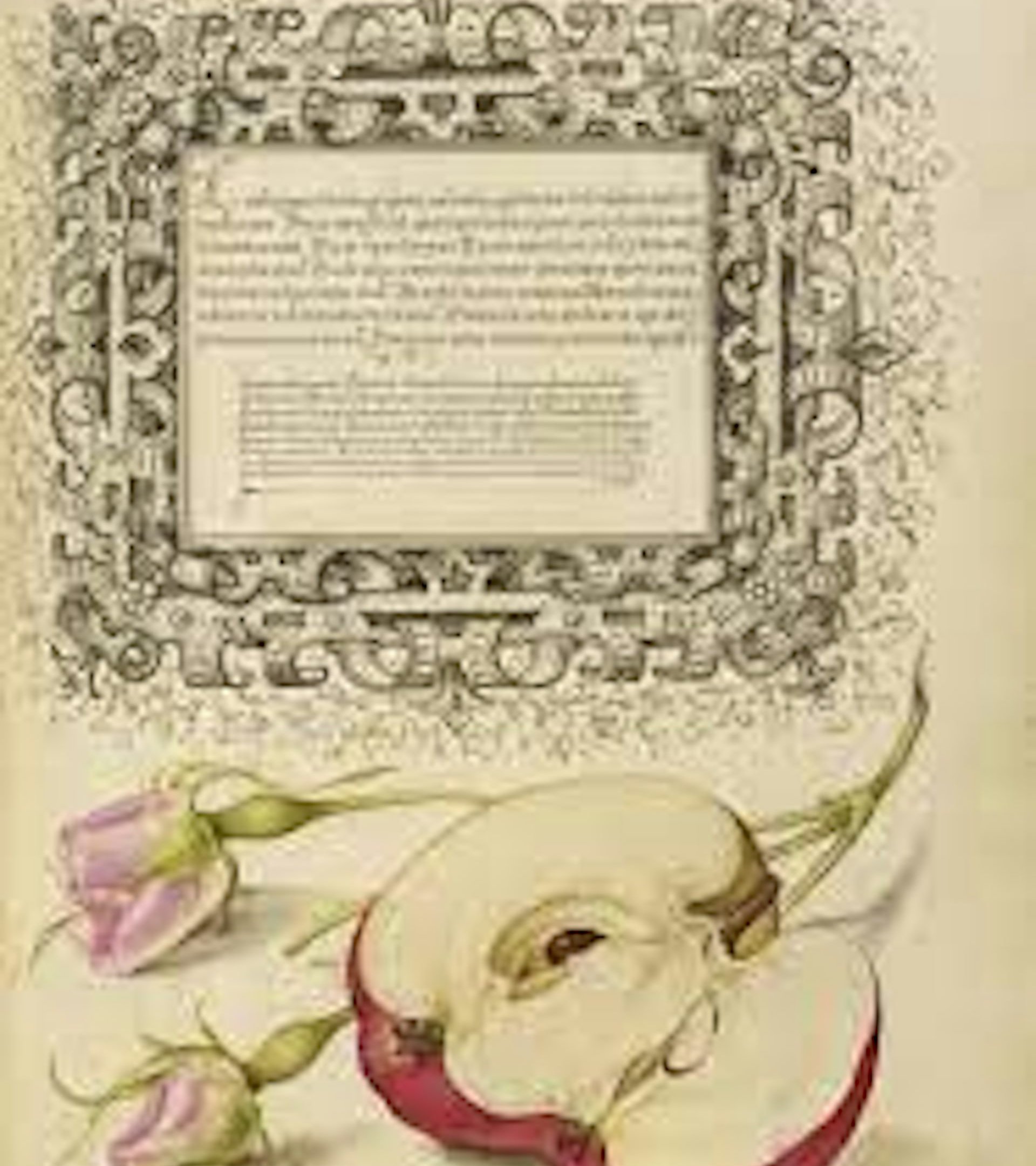 file-20230213-29-eg0oa1