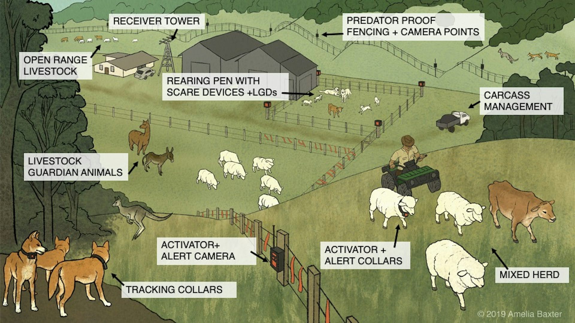 file-20230302-2032-g1vitd