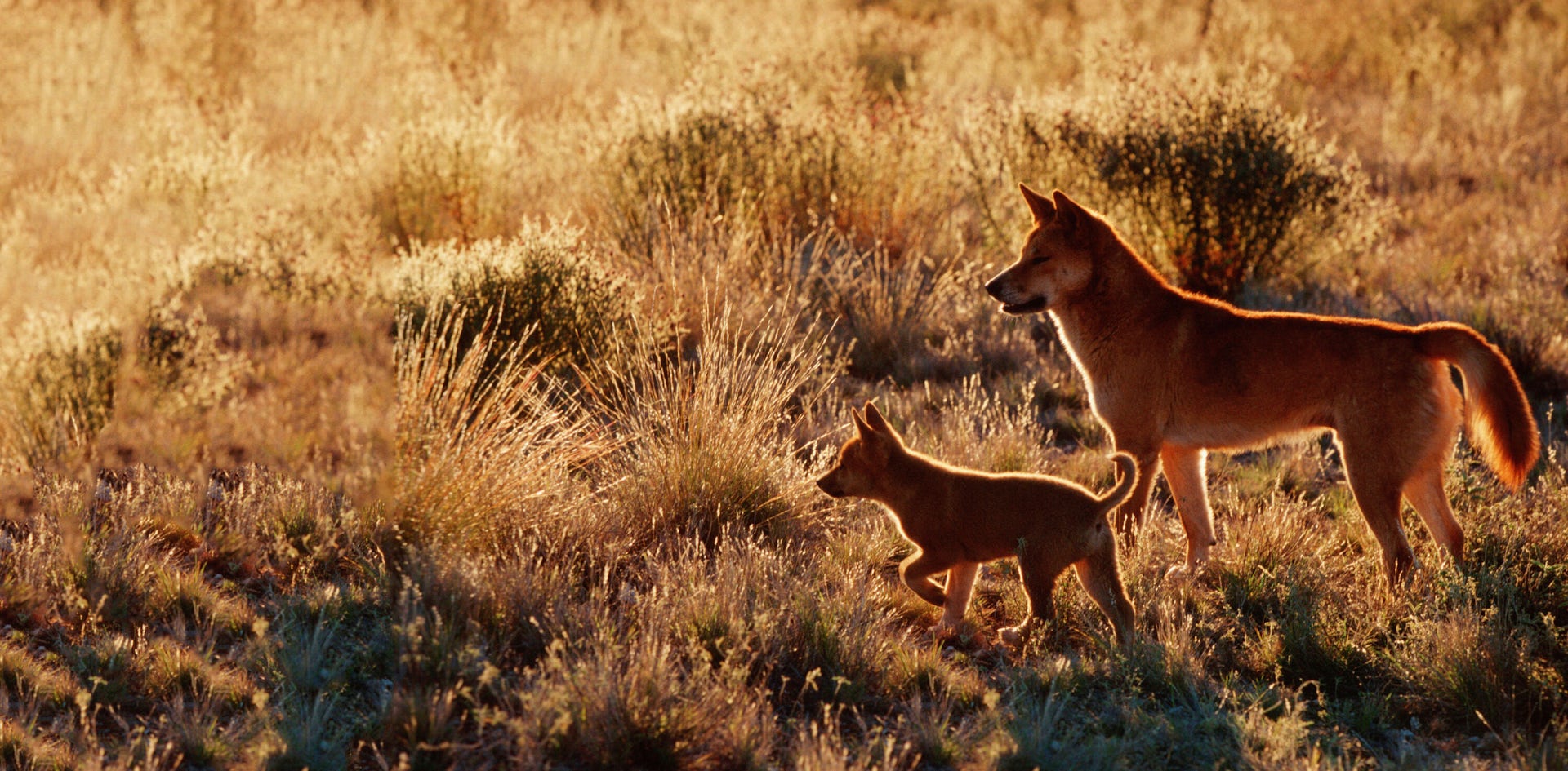 file-20230306-18-cc9p4v