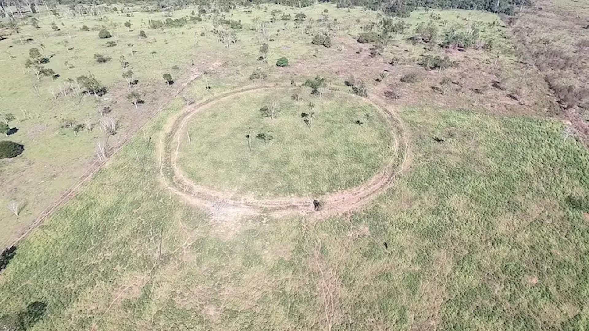 file-20230718-17-5eworn