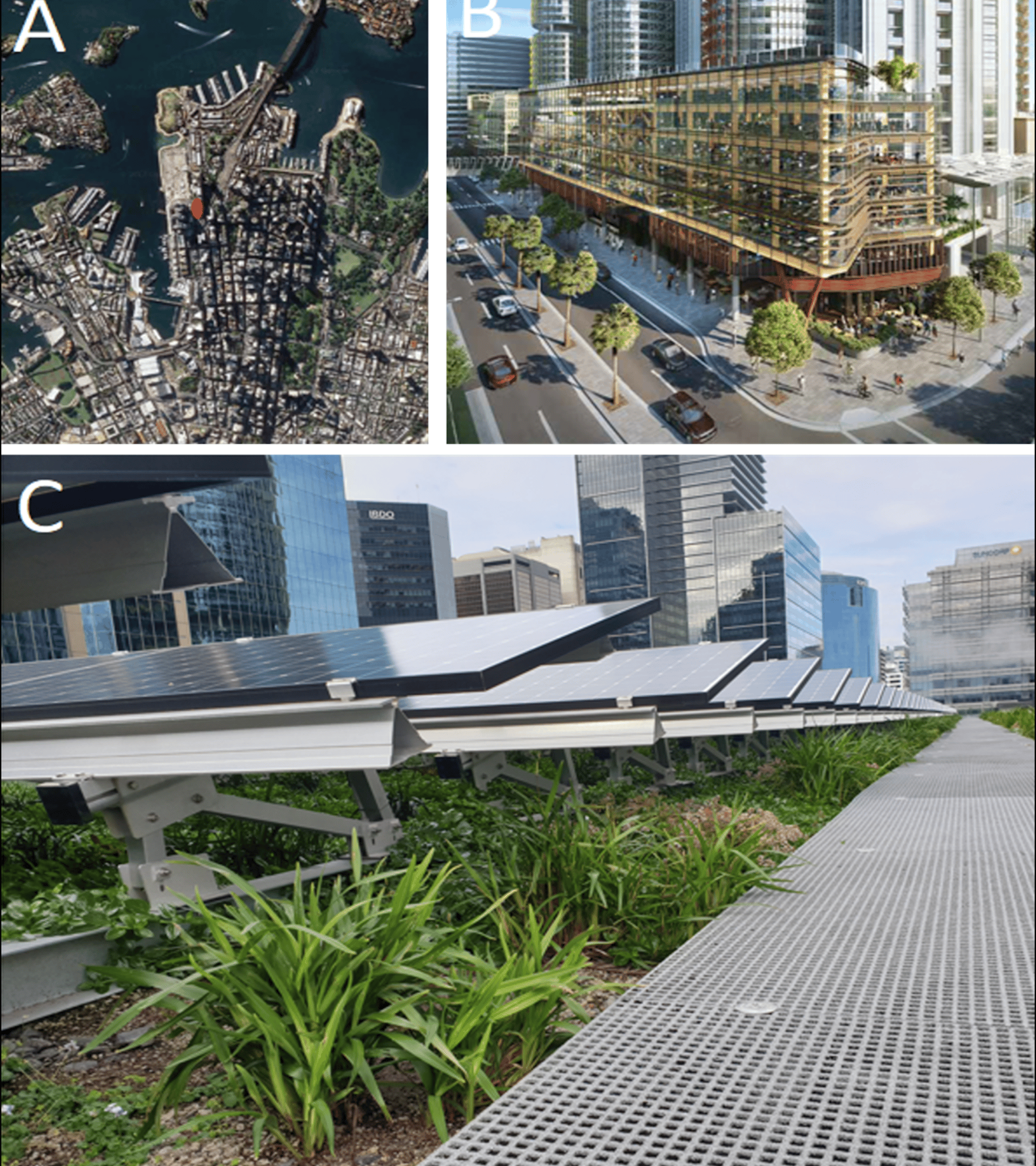 file-20230815-23-s0cct9