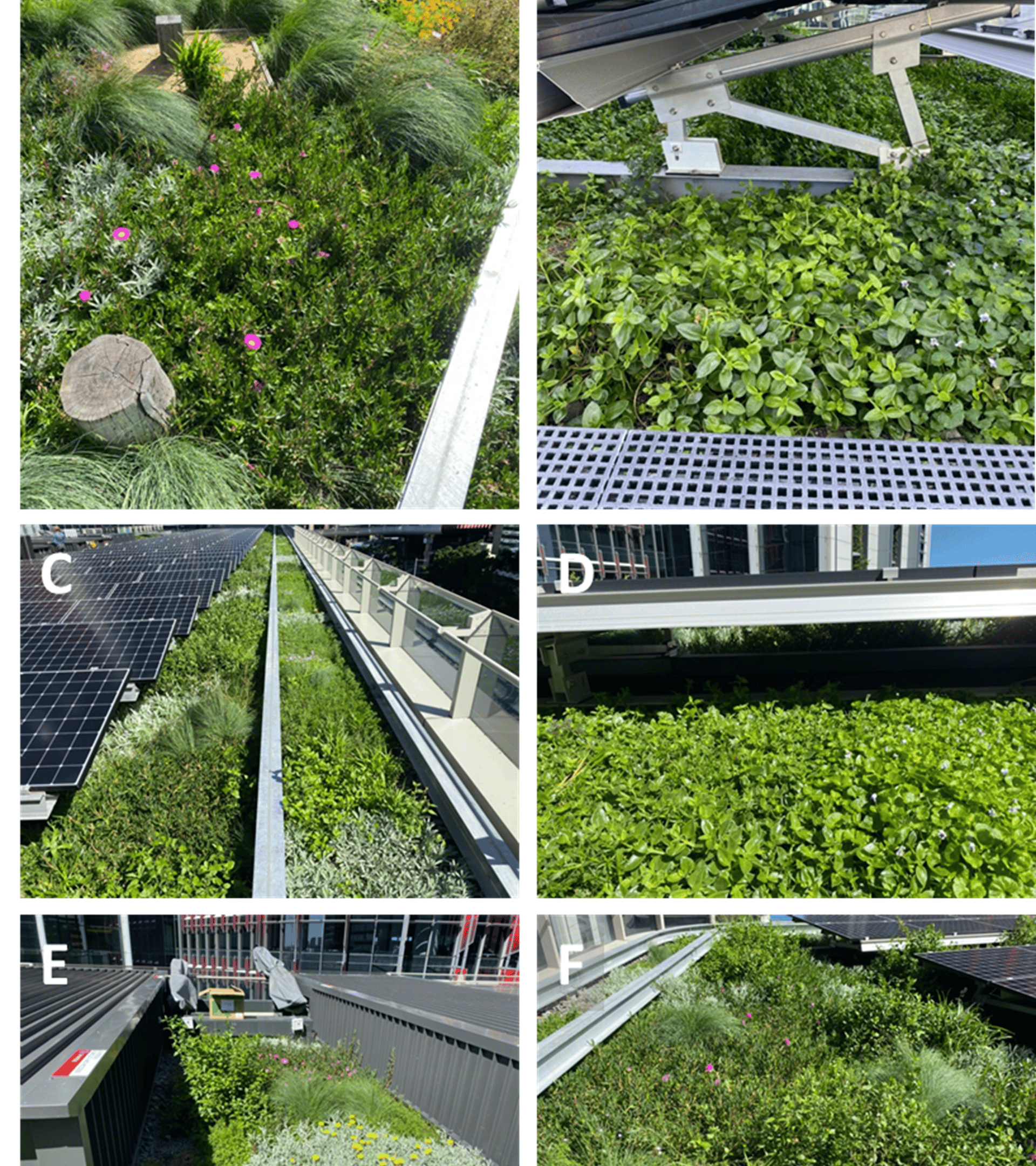 file-20230815-29045-mip8m6