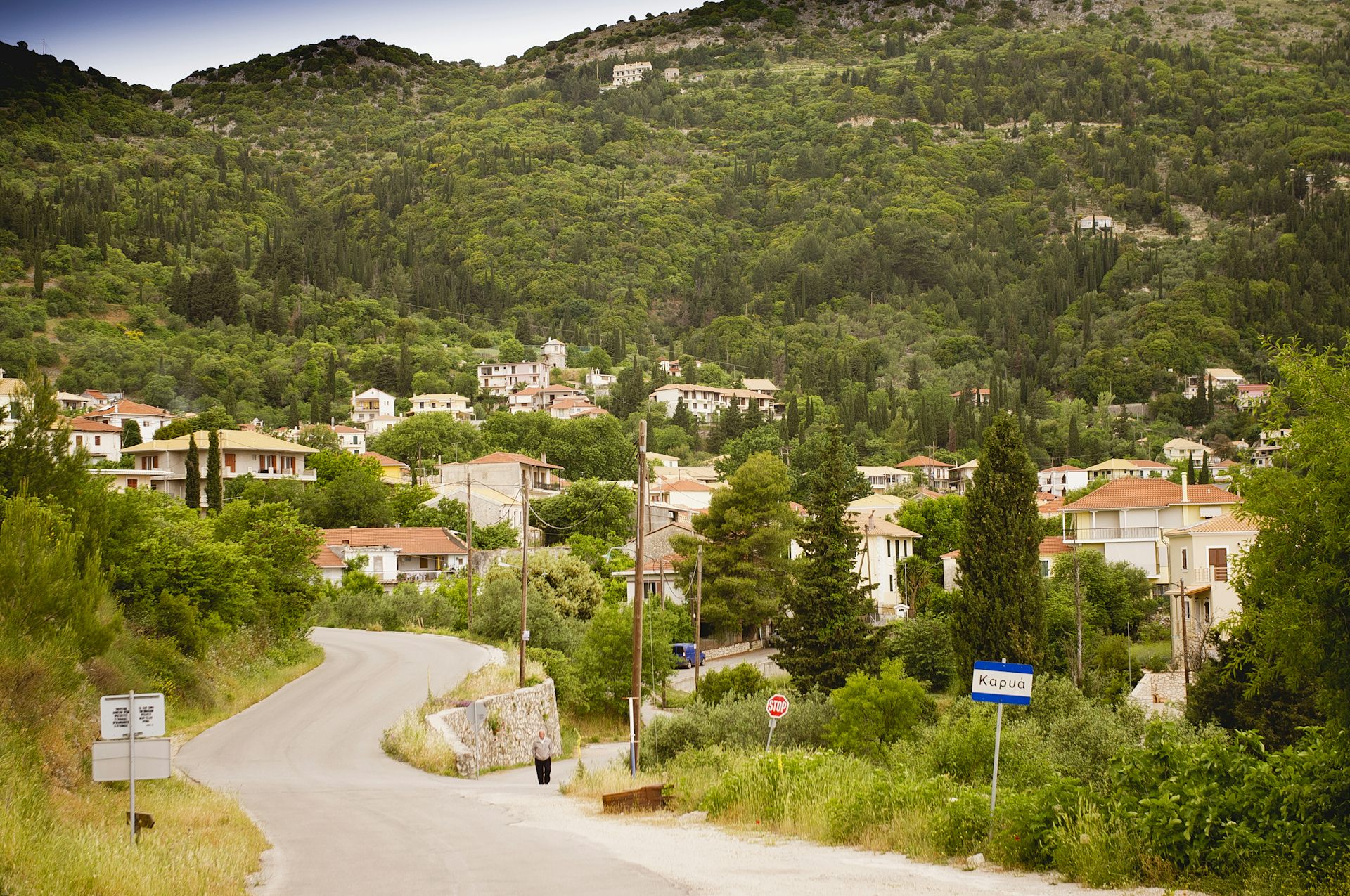 file-20230912-23-8ycush