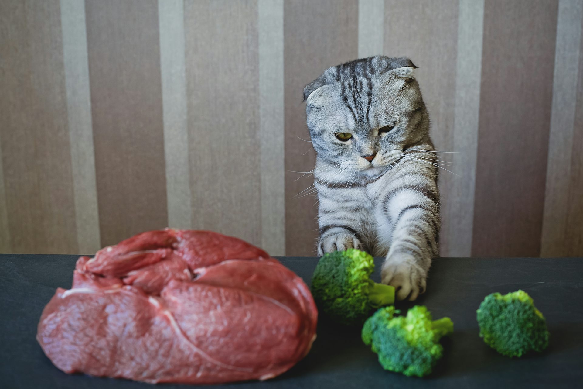 file-20230913-17-su4cro