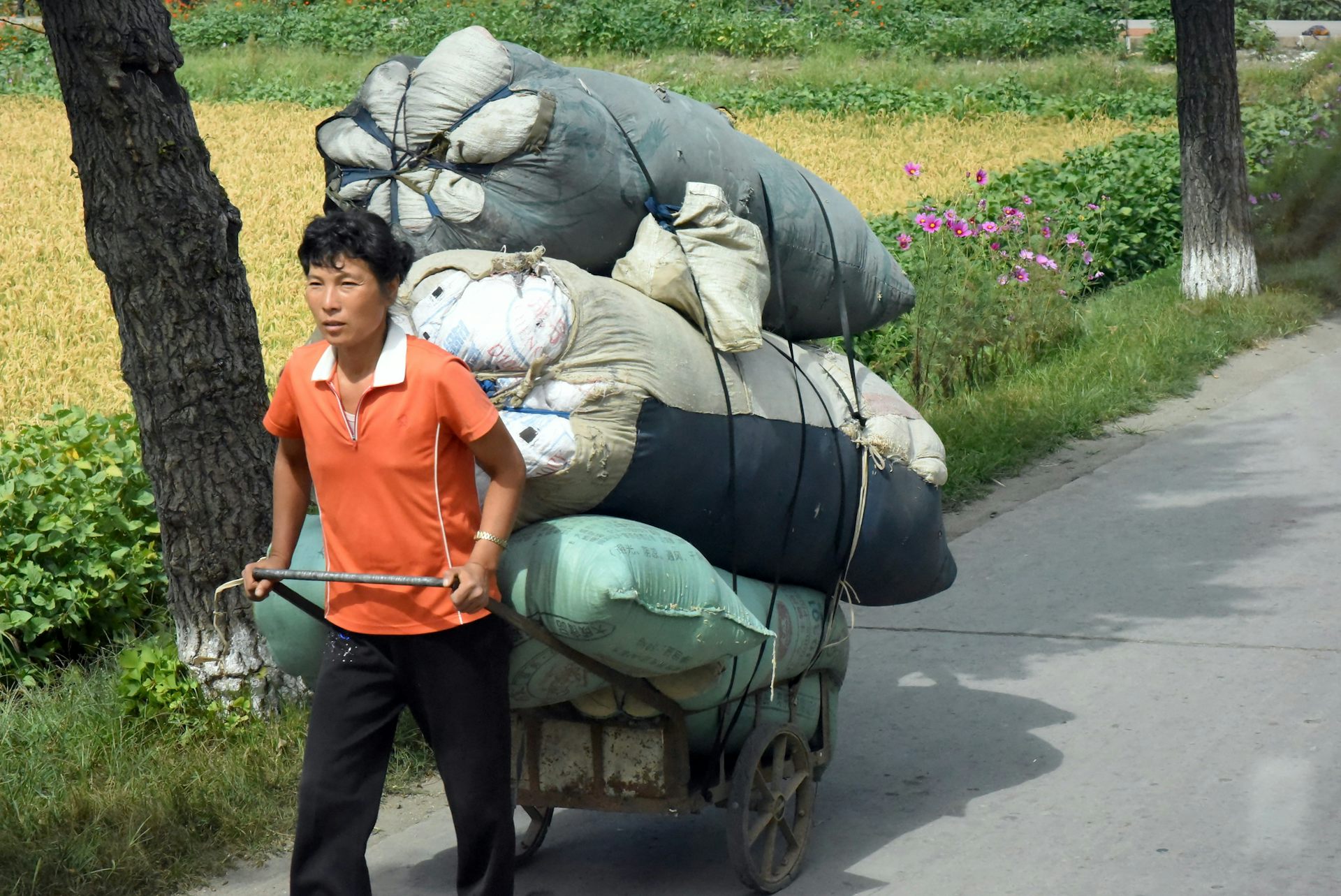 file-20231212-17-1s7r7z