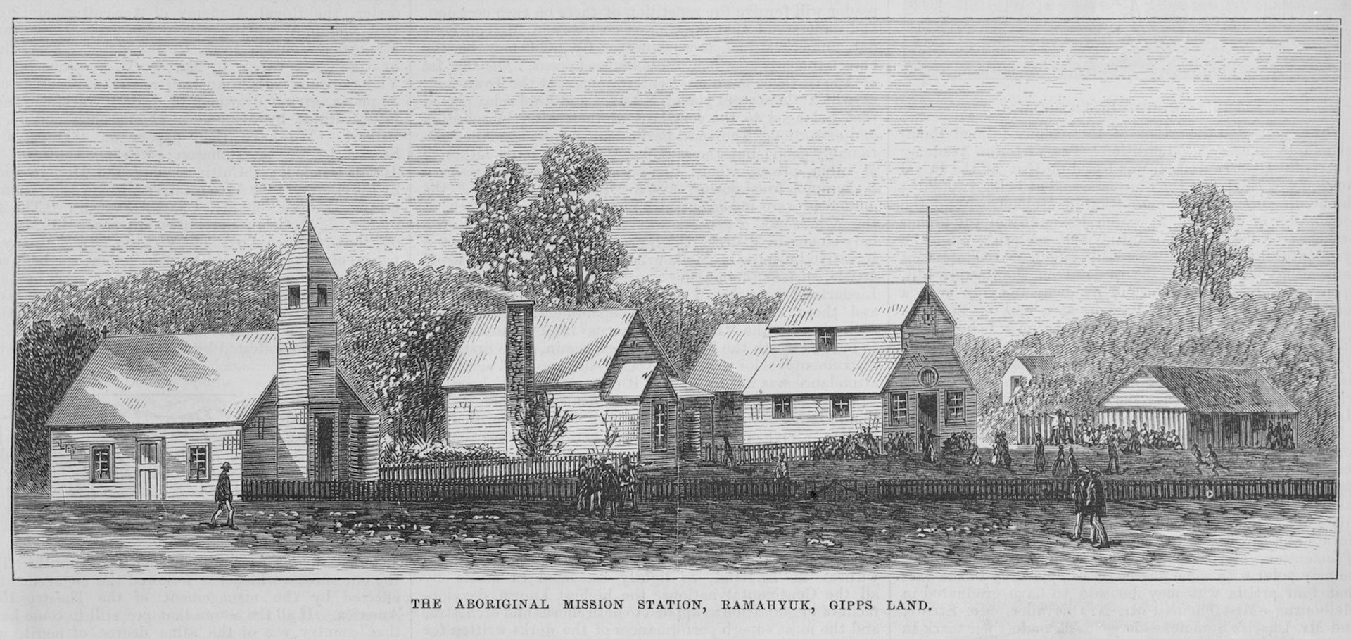 file-20240501-16-u1g3vn