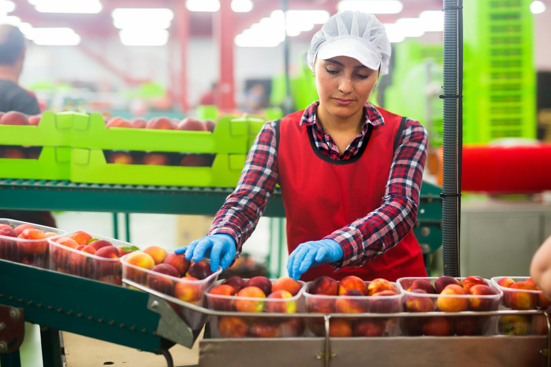 A woman sorting fruit on a production line