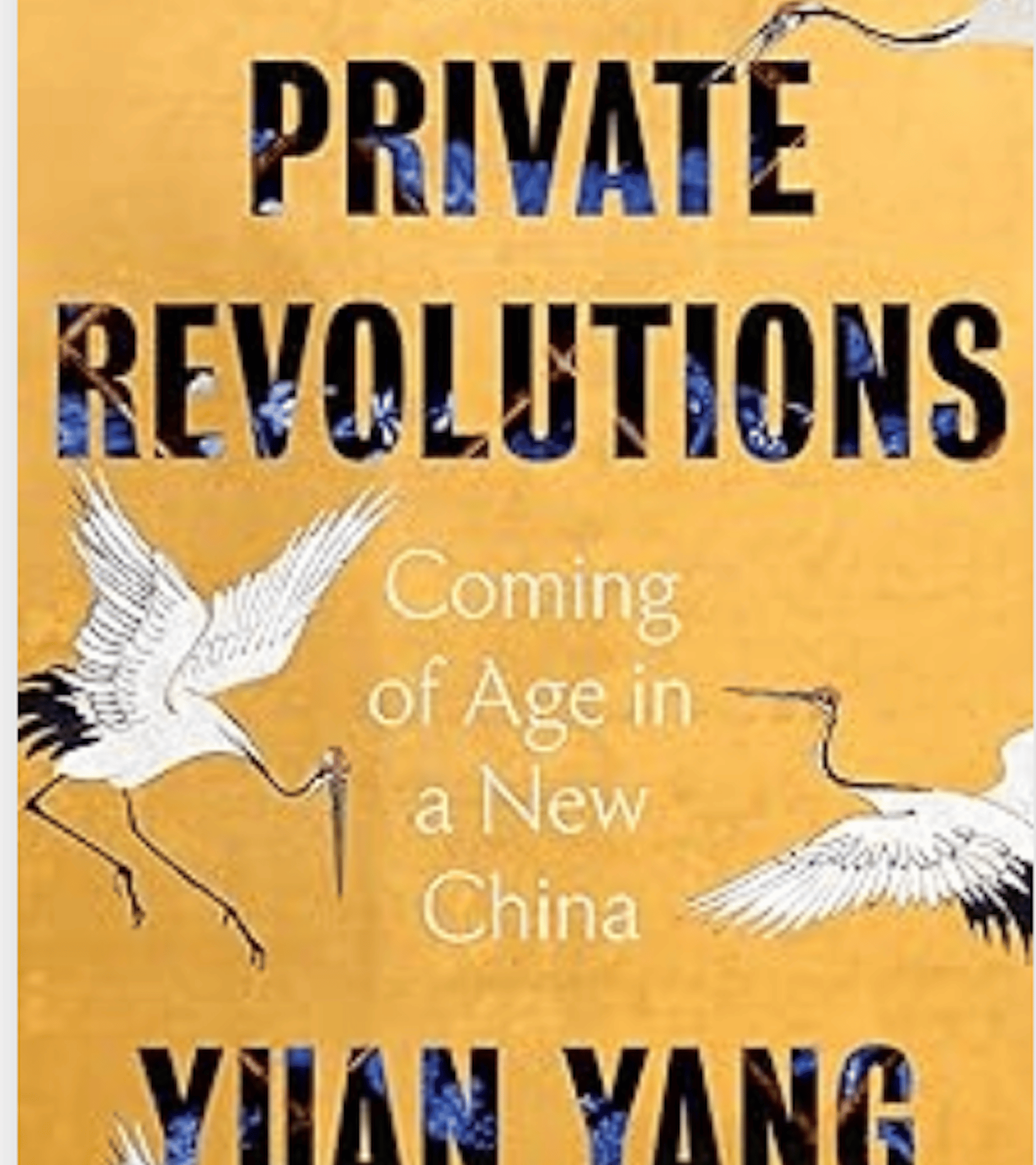 Cover of Private Revolutions