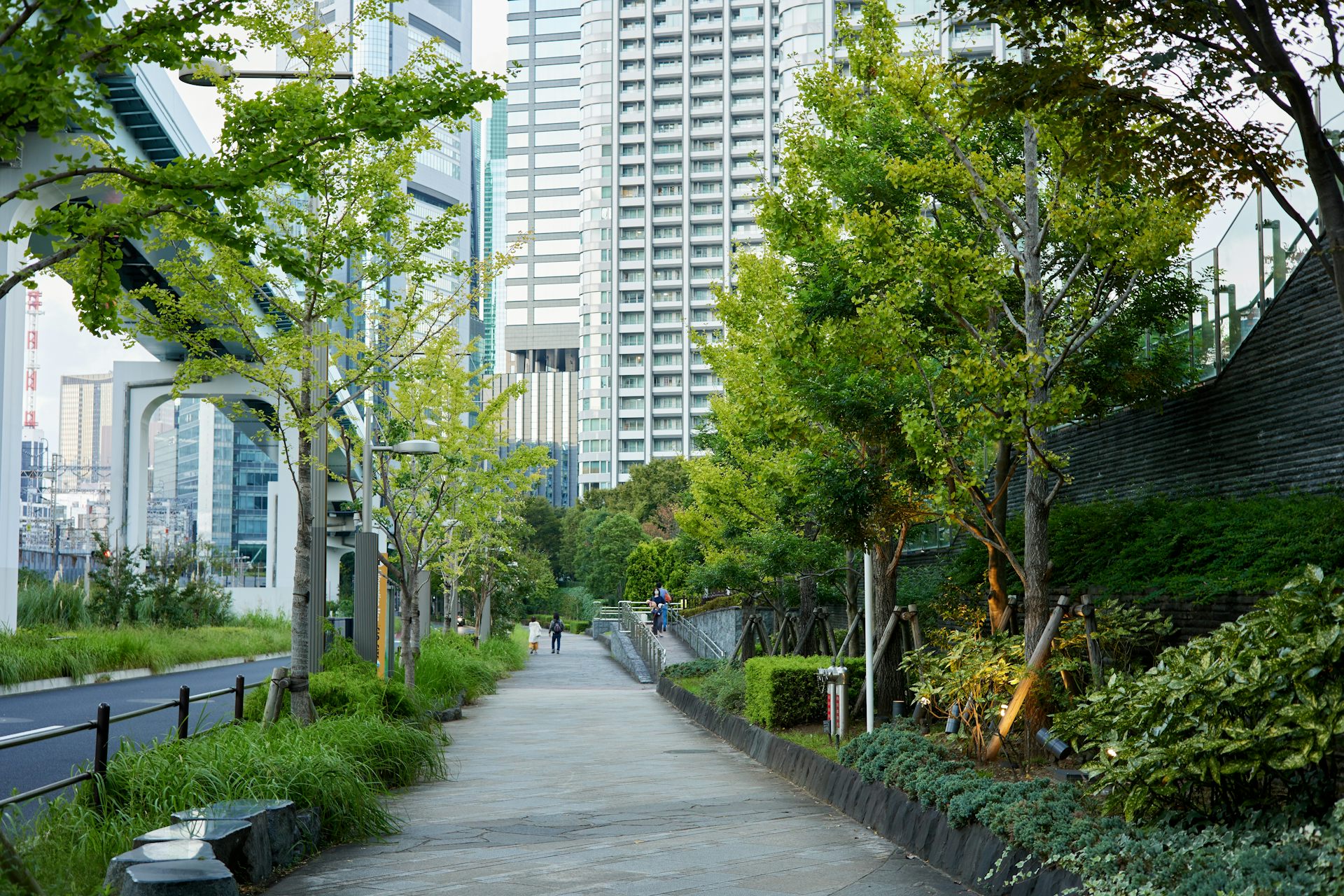 A road with skyscrapers in the background with greenery all along it