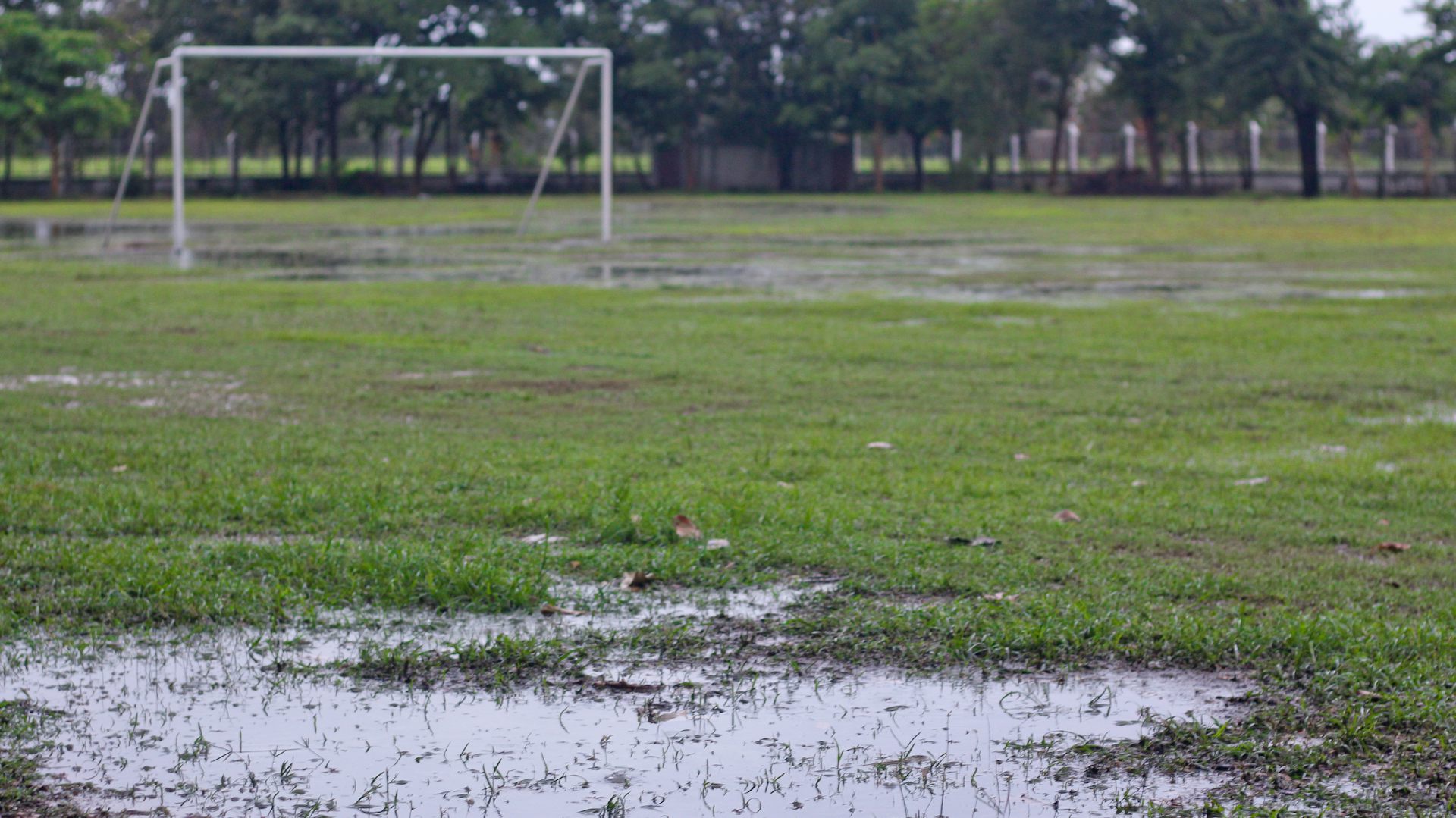 A waterlogged field stands deserted.