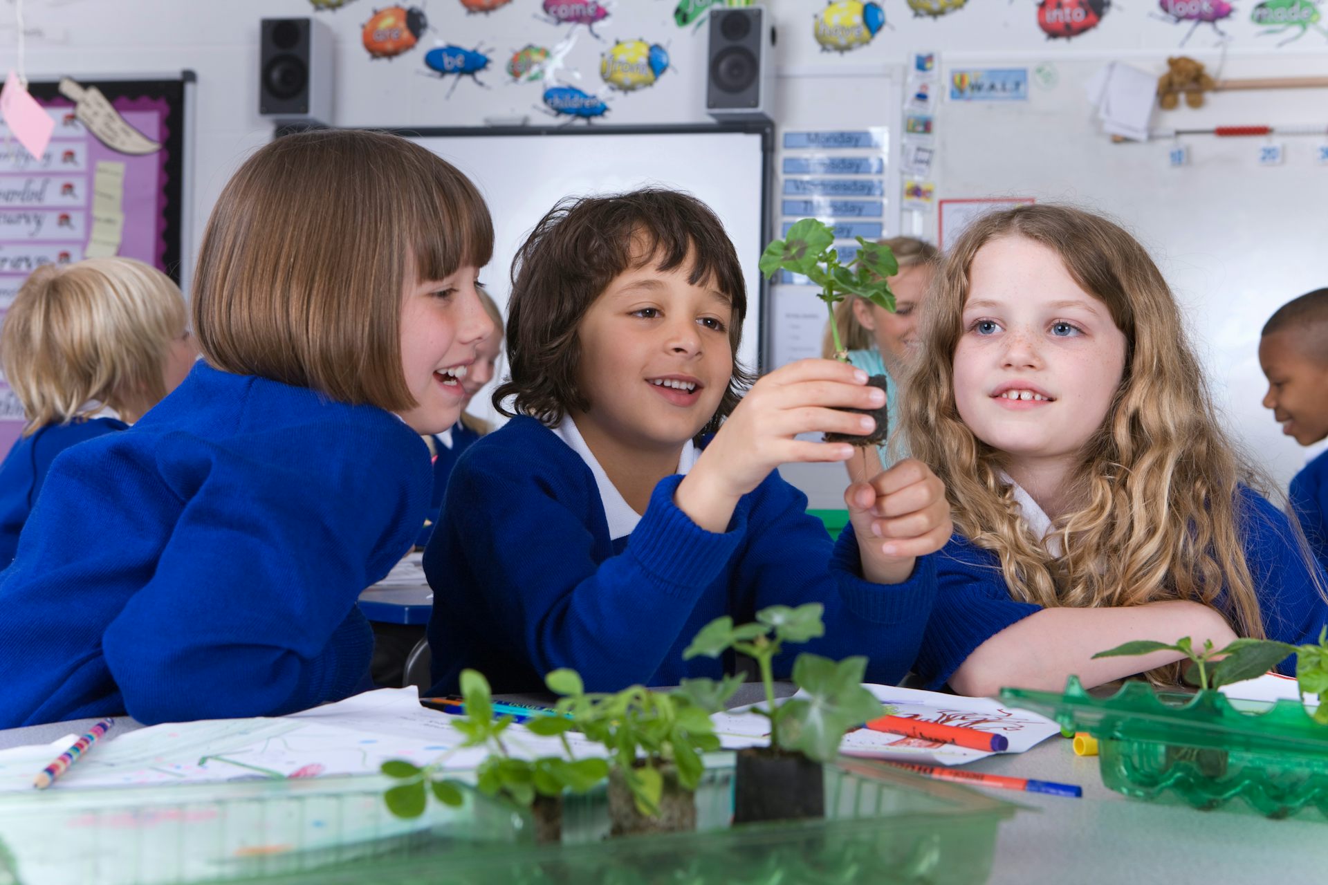 Three primary students examine seedlings at a desk.