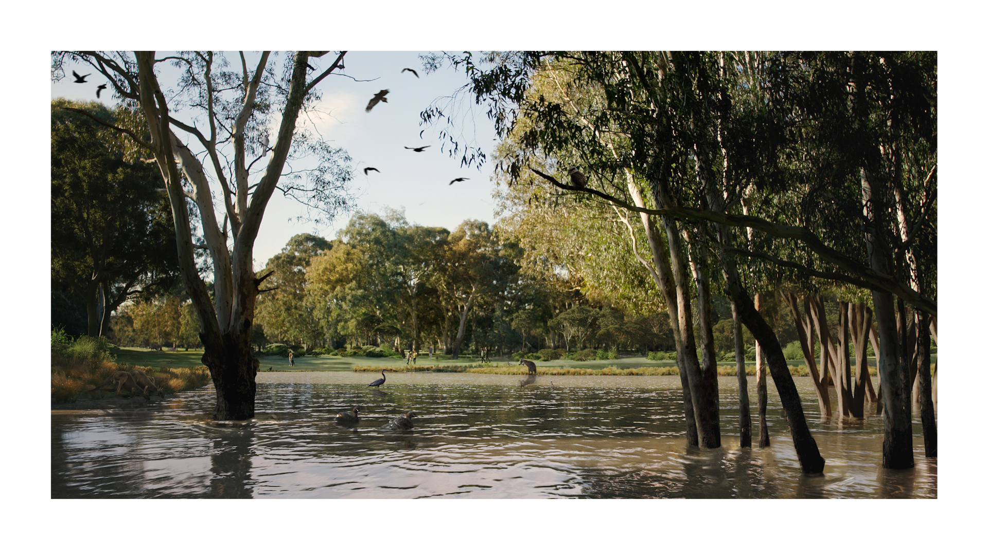 Video still shows waterway with birdlife