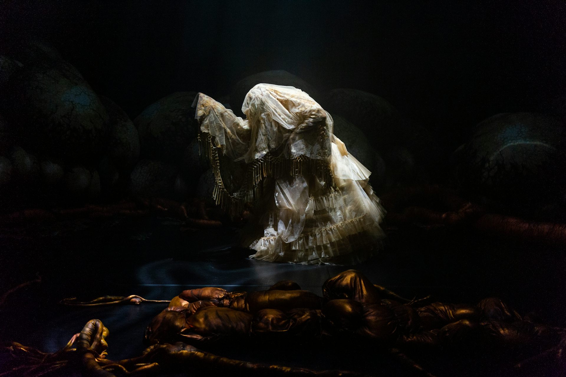 A figure covered in lace.