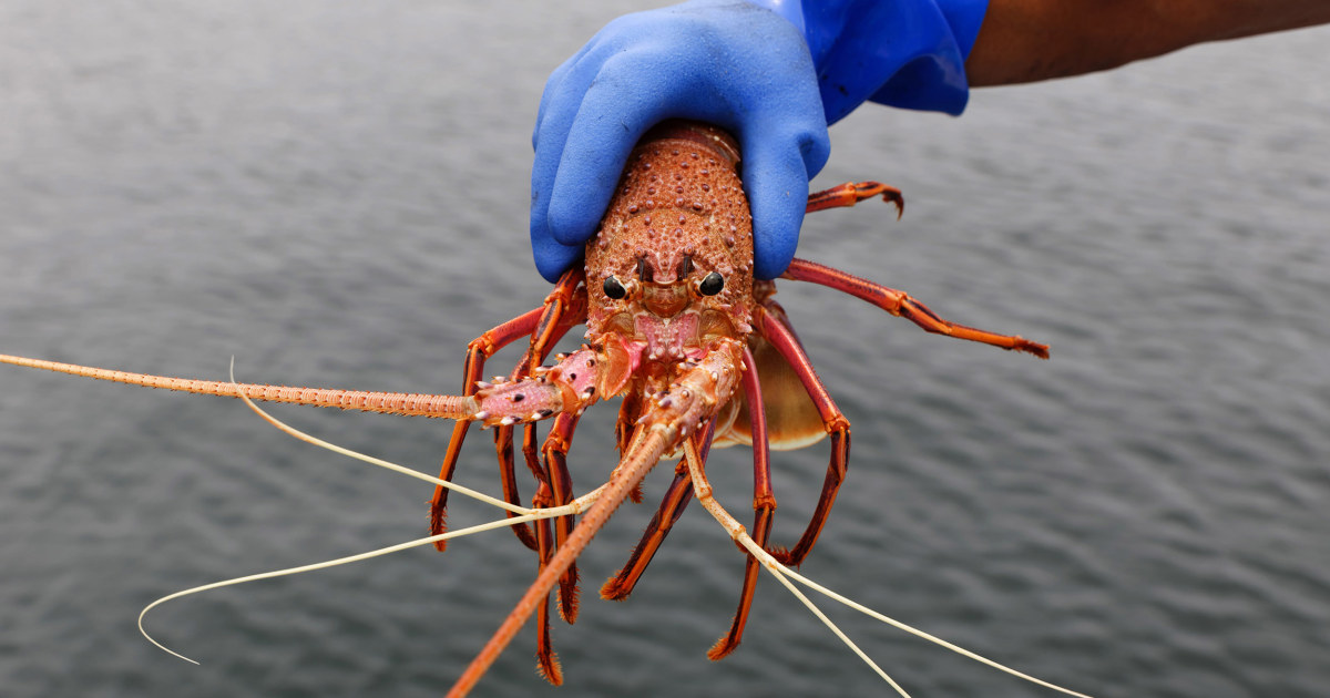 210611-australia-china-trade-mc-1311