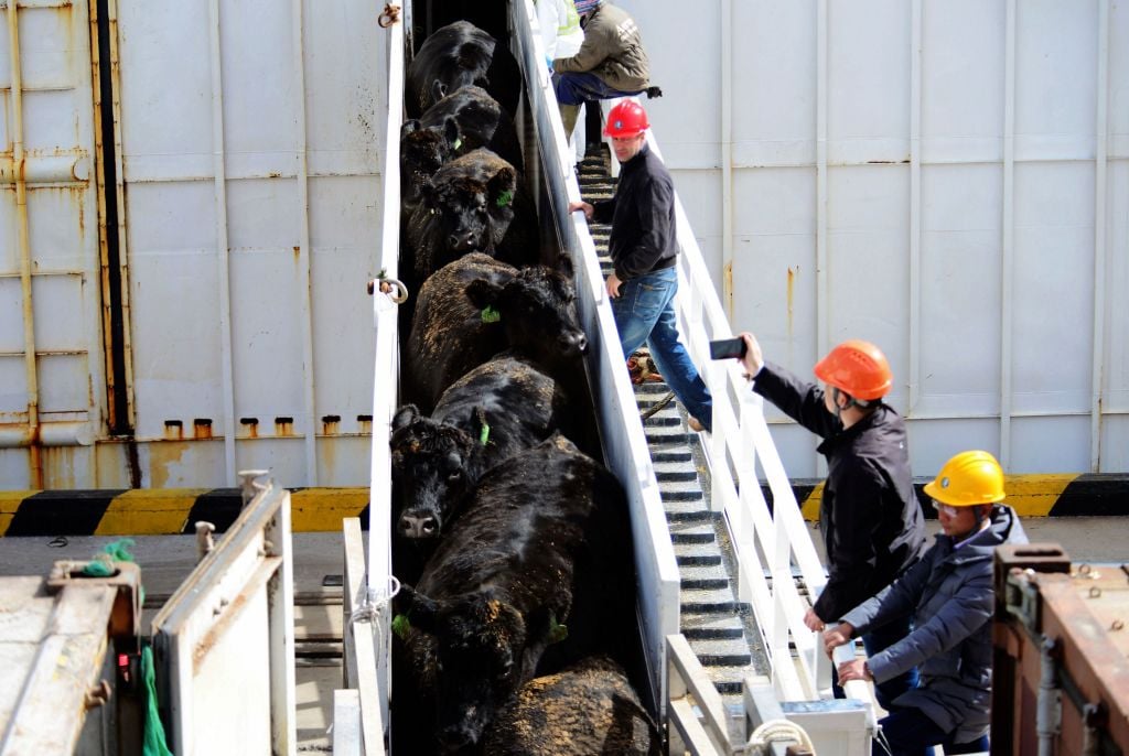 GettyImages-946724464