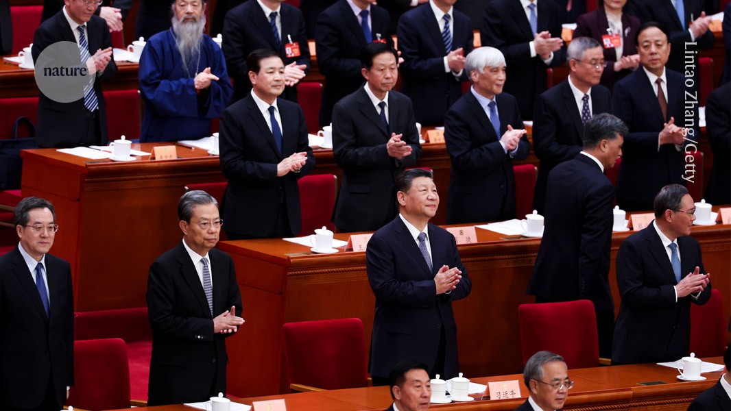 d41586-024-00695-4_26832858