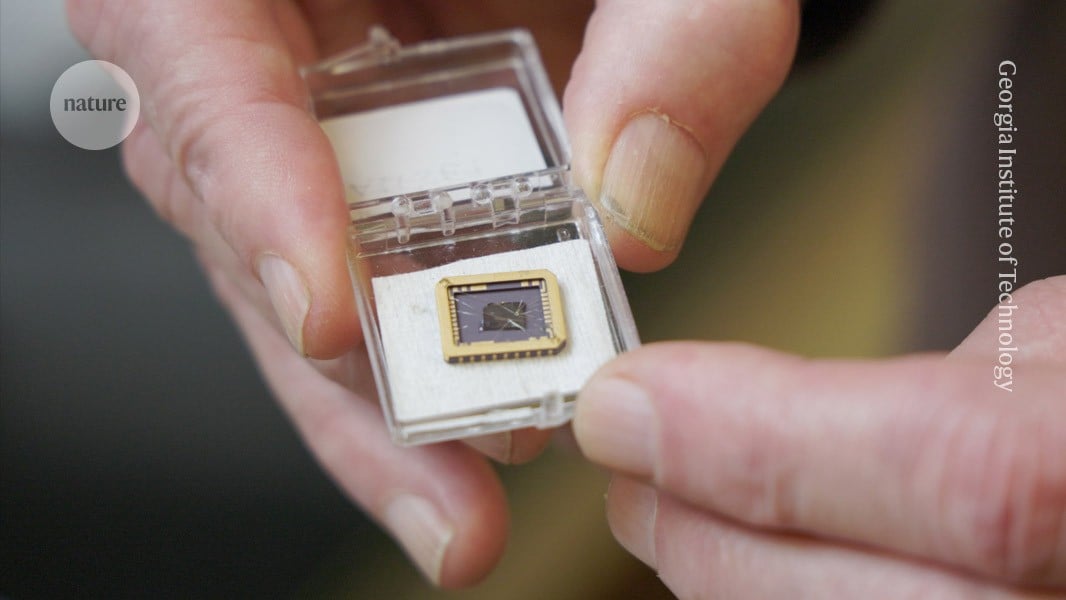 d41586-024-02046-9_27220182