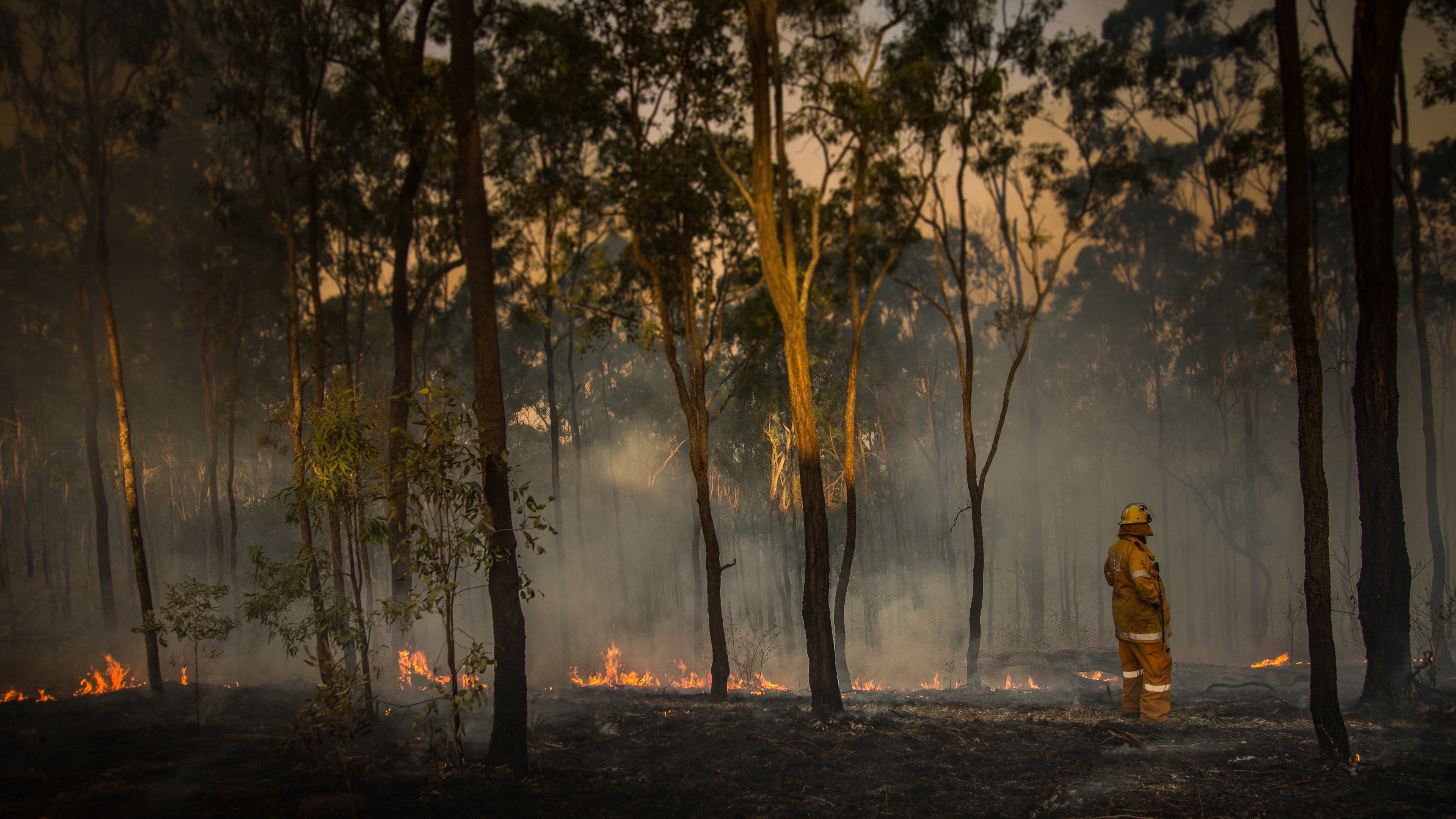 Queensland Rural Firefighter inspects bush fire
